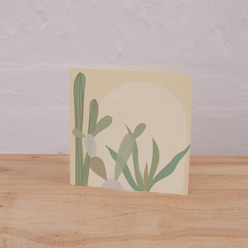 PLANTABLE GIFT TAG/6 - CACTUS ARCH
